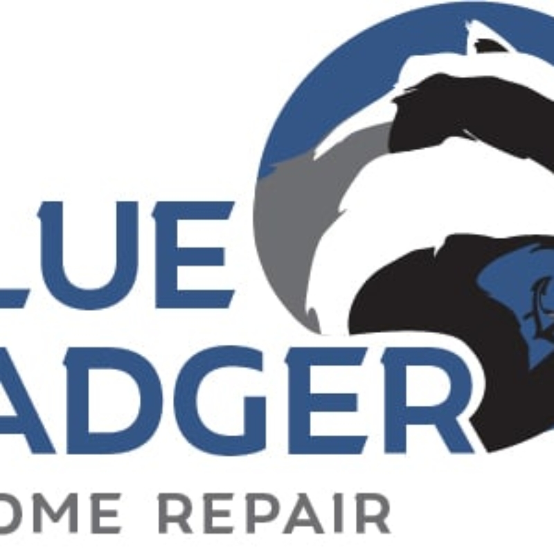 BlueBadger_Logo_RGB-2
